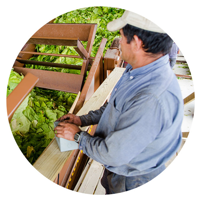 U.S. Tobacco Cooperative