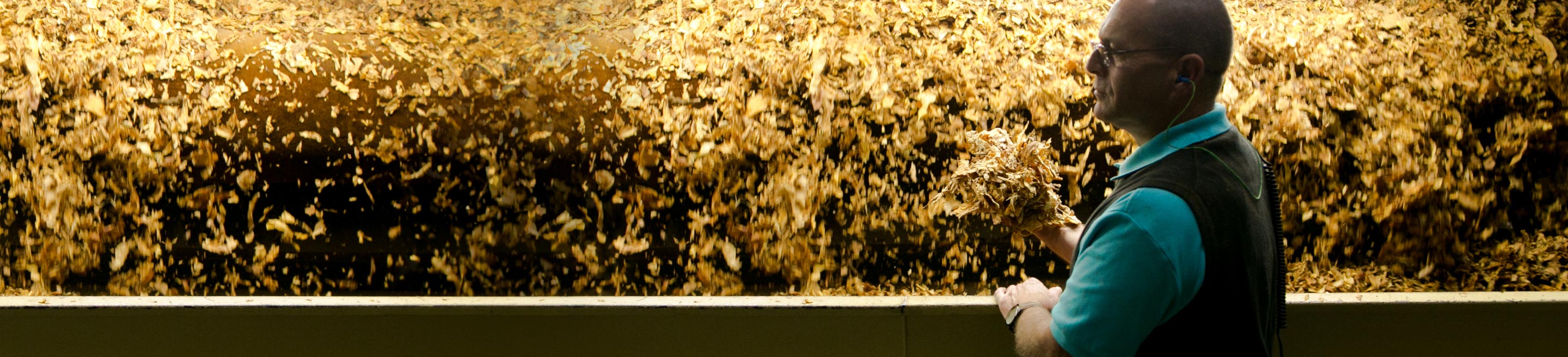yearly tobacco deaths Tobacco Is Destroying the World [CHARTS]